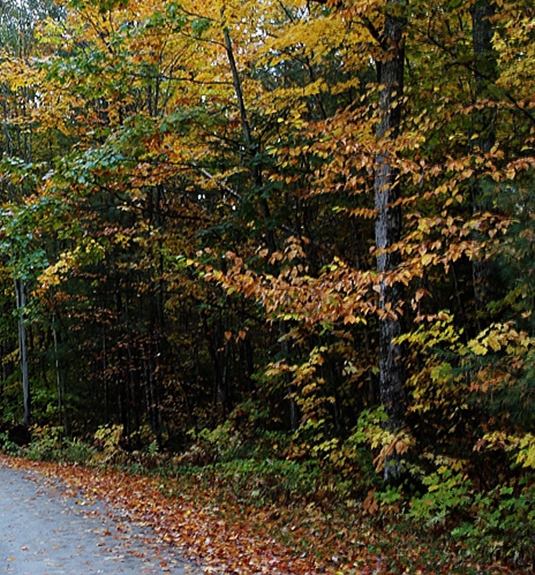 粉象生活宝妈如何挣钱