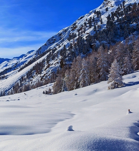 粉象生活如何加入抖音呢