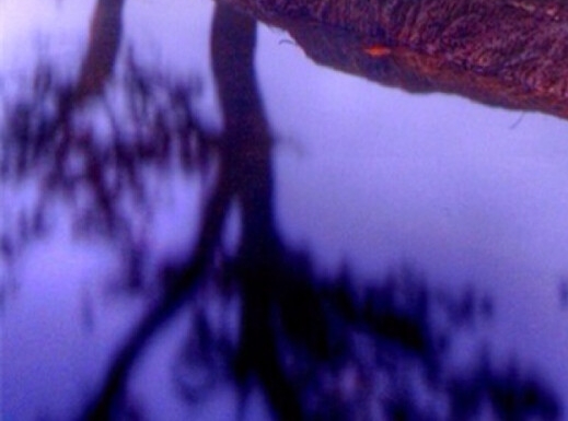 粉象生活的客户