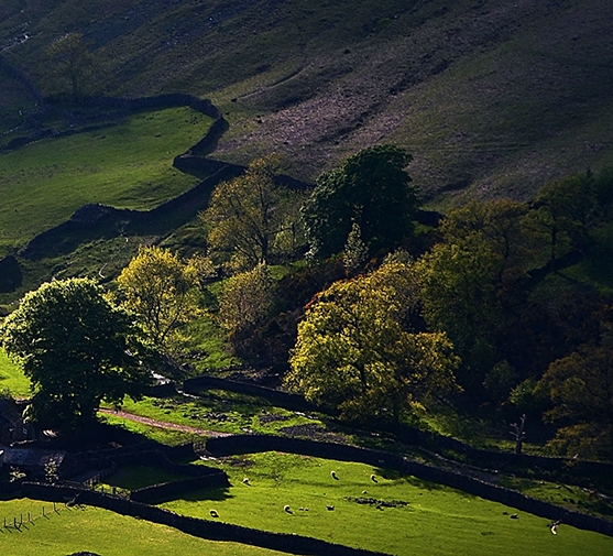 生活中有哪些副业可以做