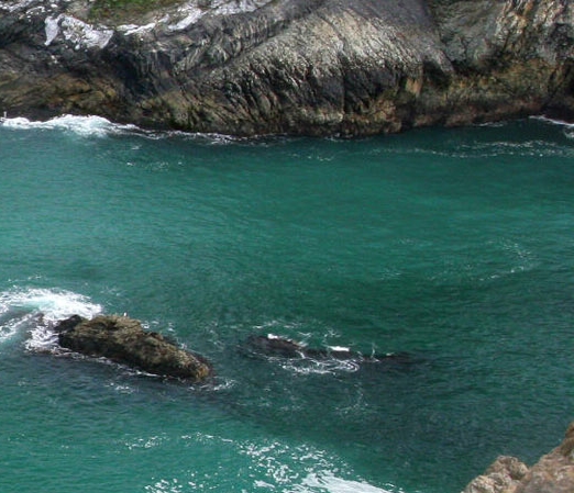 粉象生活软件注册申请