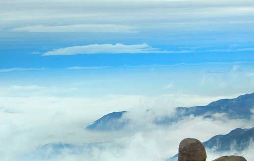 粉象生活怎么样填写邀请码