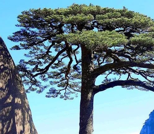 马云如何评价粉象生活的