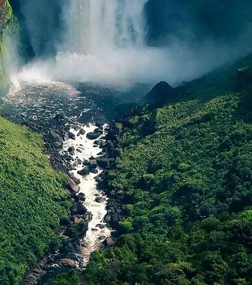 广州年轻态生活科技怎么样