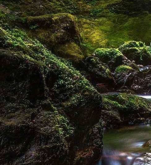 粉象生活卖东西可以吗