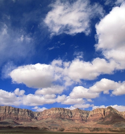 粉象生活是真是假