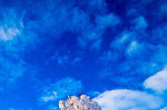 粉象生活正版官网邀请码