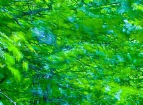 粉象平台真能挣钱吗