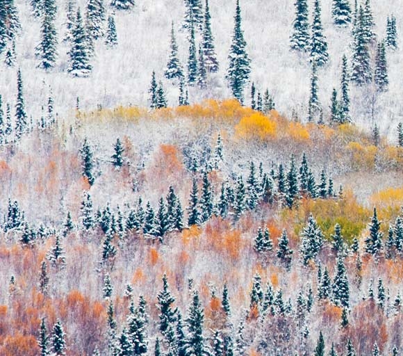 粉象生活副业2020