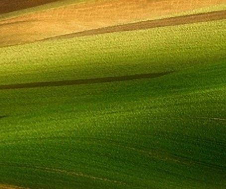 粉象如何解除上家