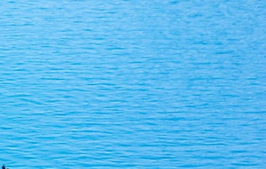 粉象为什么叫少女杀手