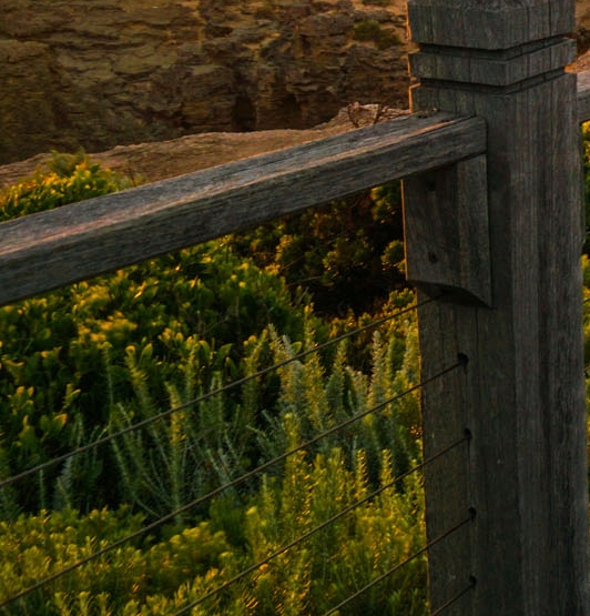 湖北加盟粉象生活软件