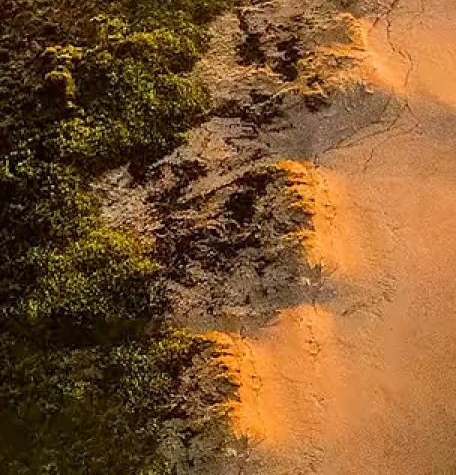 粉象生活真的可以省钱吗