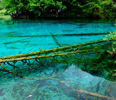 粉象生活创始人是谁