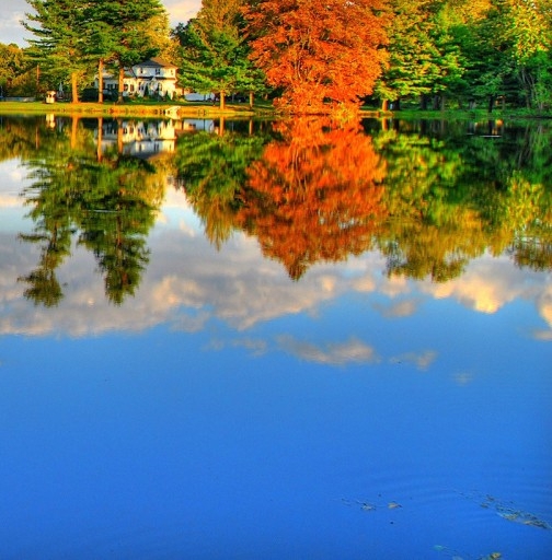 粉象生活赚钱教程