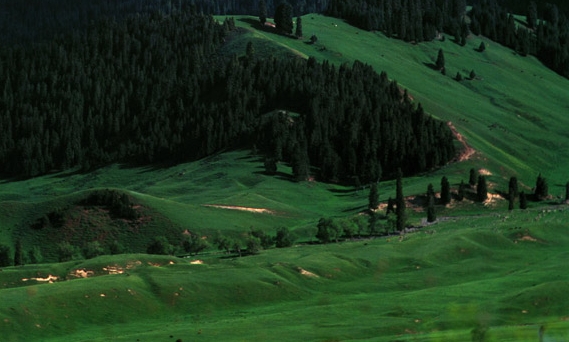 粉象生活邀请码原 始597203