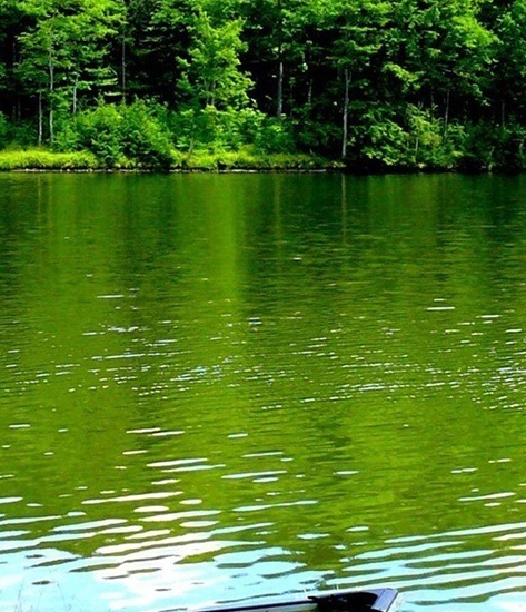 粉象生活邀请码官方认证