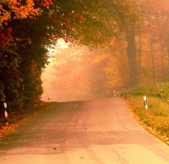 粉象生活到底能不能做