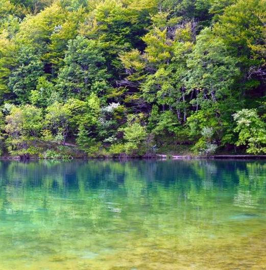 粉象生活商城赚钱吗