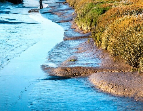 粉象生活信用代码