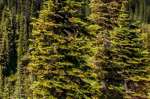 粉象生活是什么?粉象生活到底怎么样?