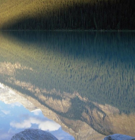 粉象生活电商邀请码