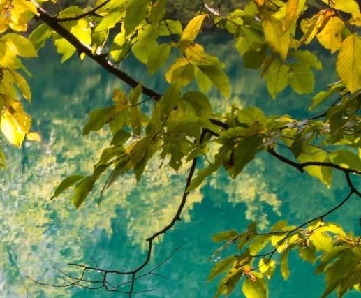 粉象生活积分兑换