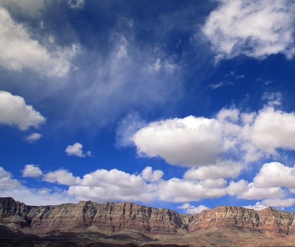山东创新粉象生活