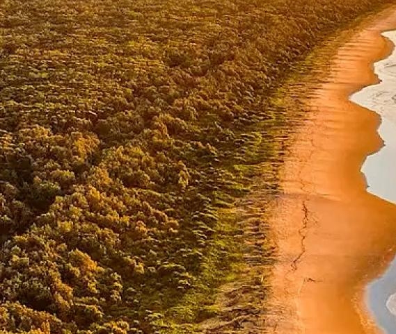 粉象生活怎么用淘宝