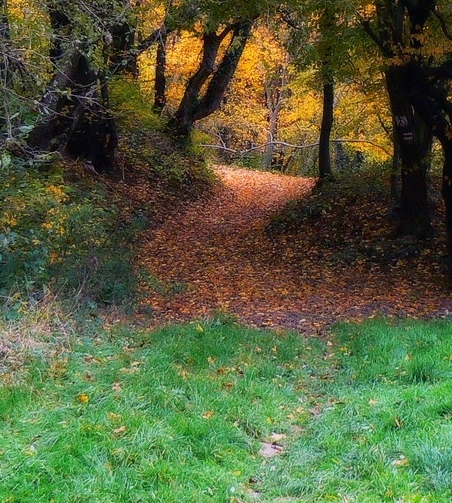 粉象生活如何找好友