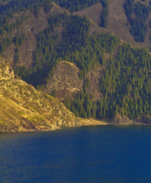 粉象生活下载app