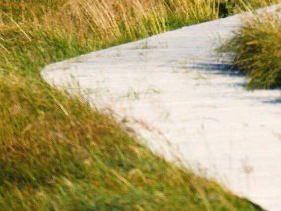 粉象生活官方APP邀请码