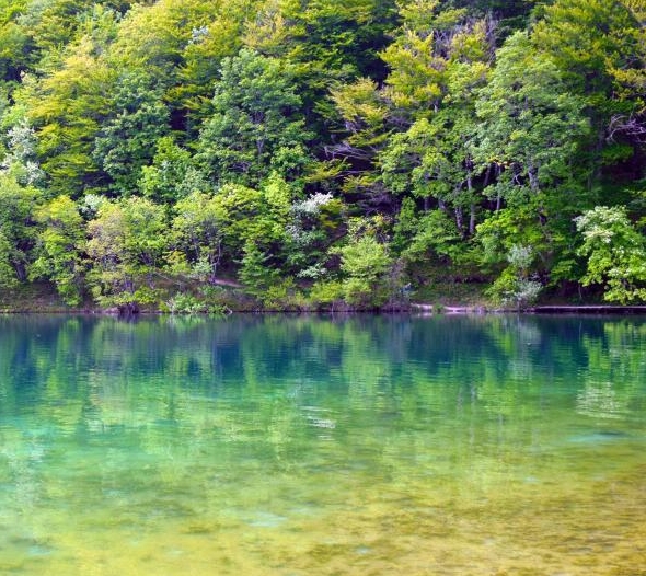 粉兔生活商家登录