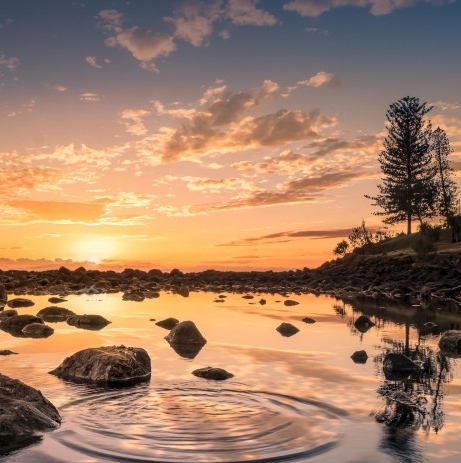 粉象生活能赚到钱吗