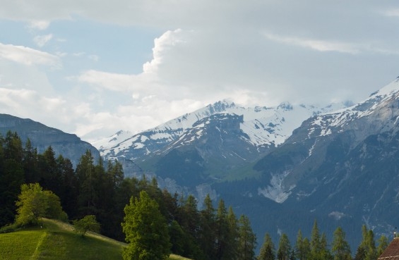 粉象生活通知收钱