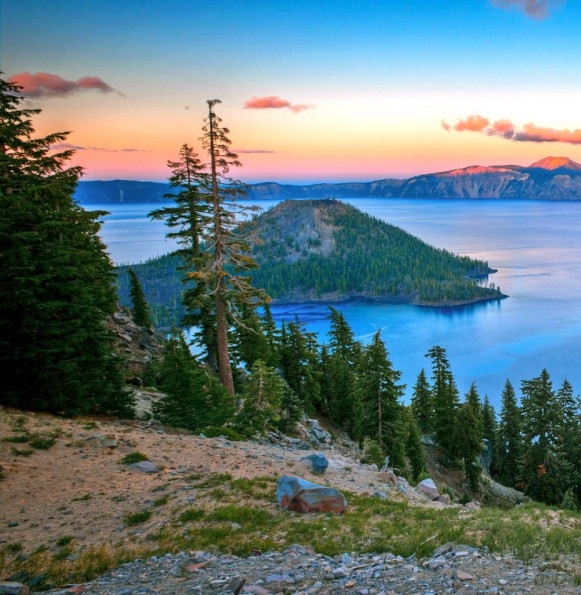 粉象生活怎么在闲鱼开店