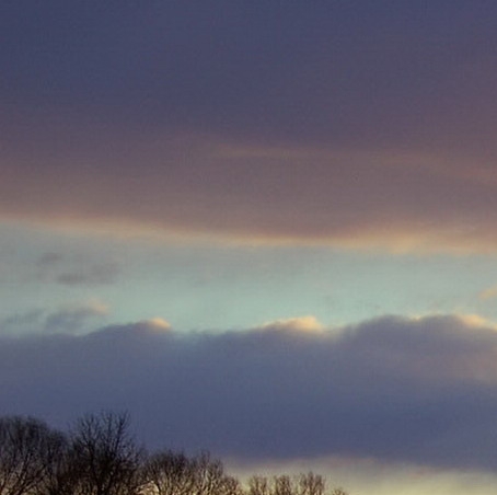 粉象生活是谁创办的