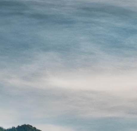 盐城粉象生活收费