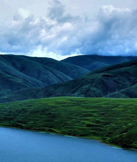 未来集市跟粉象区别
