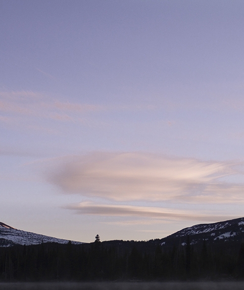 镇江粉象生活佣金