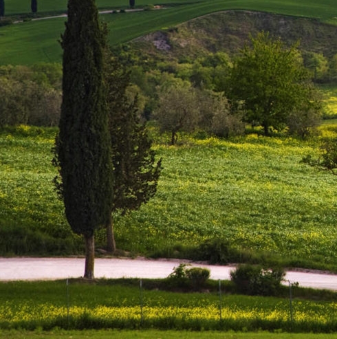 粉象生活怎么合作