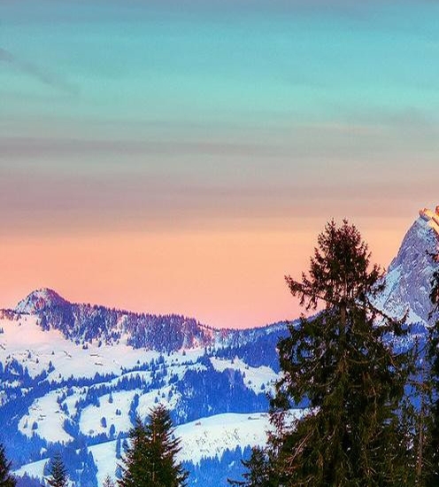 粉象生活是什么?