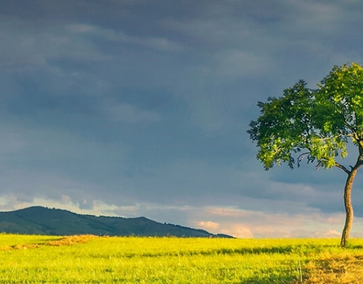 崭新生活电影的介绍