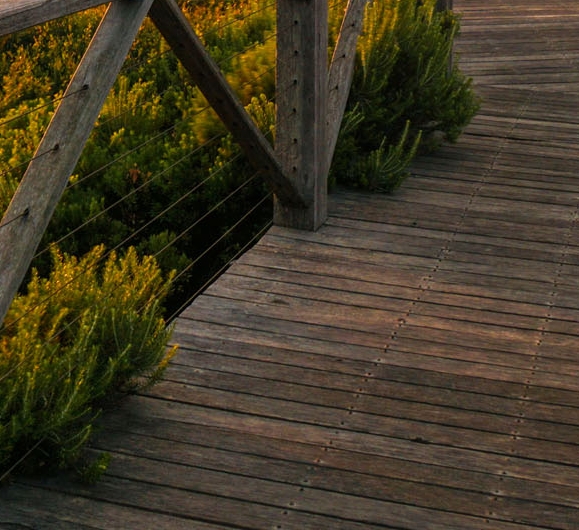 国象积分怎么来的