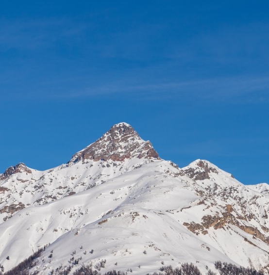未未集市和粉象生活哪个好