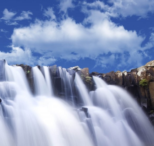 粉象生活代理招募