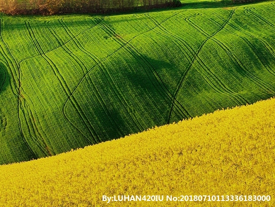 粉象生活收费吗