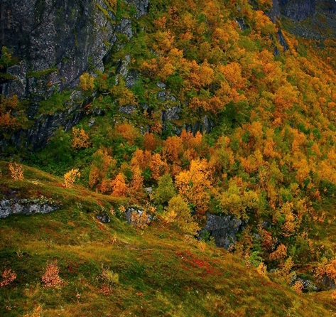 深圳粉象生活拼多多
