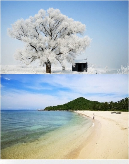 和粉象生活一起使用的App有