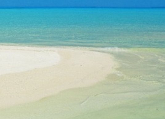 小瓶粉象啤酒后劲